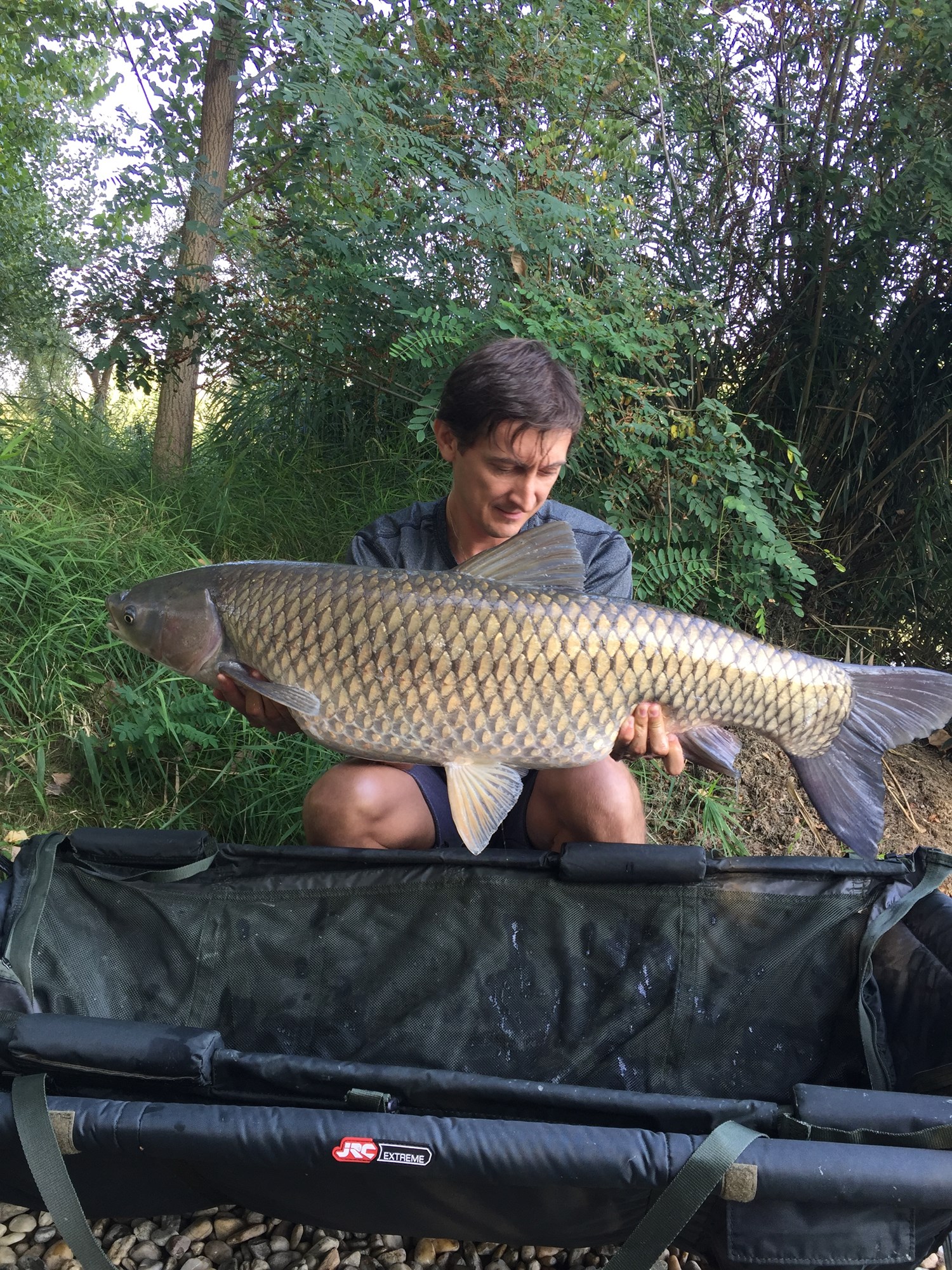 Noutat - 12D1F8D036C84618B2E0BEE5A23E5309.jpg